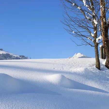 Energiepension Schwaiger Bed & Breakfast 3*