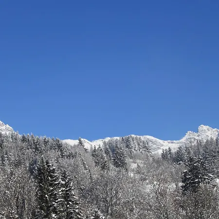 Energiepension Schwaiger Frühstückspension Leogang