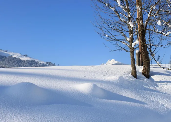 Energiepension Schwaiger Nocleg ze śniadaniem 3*