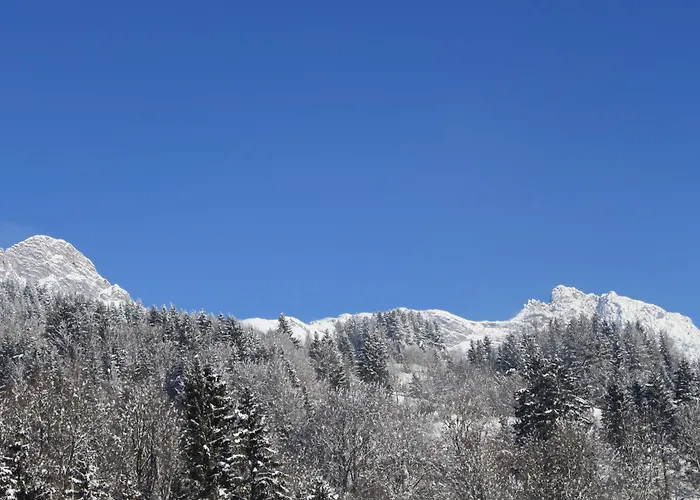 Energiepension Schwaiger Nocleg ze śniadaniem Leogang